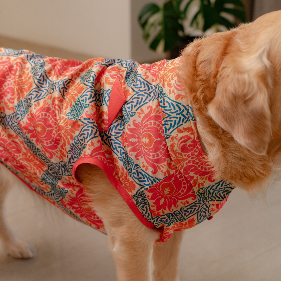 Diwali Pet Clothes | Diwali Dog Sherwani