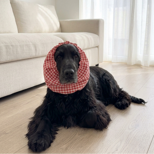 Dog Snood online India| Dog Snood for Cocker spaniel | Dog Snood for eating | Ear cover for dogs with long ears | PoochMate Dog Snood | Dog Snood for ears