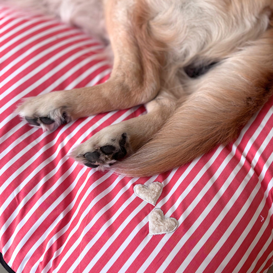PoochMate Dog Beds | Washable Cotton Dog Beds online India