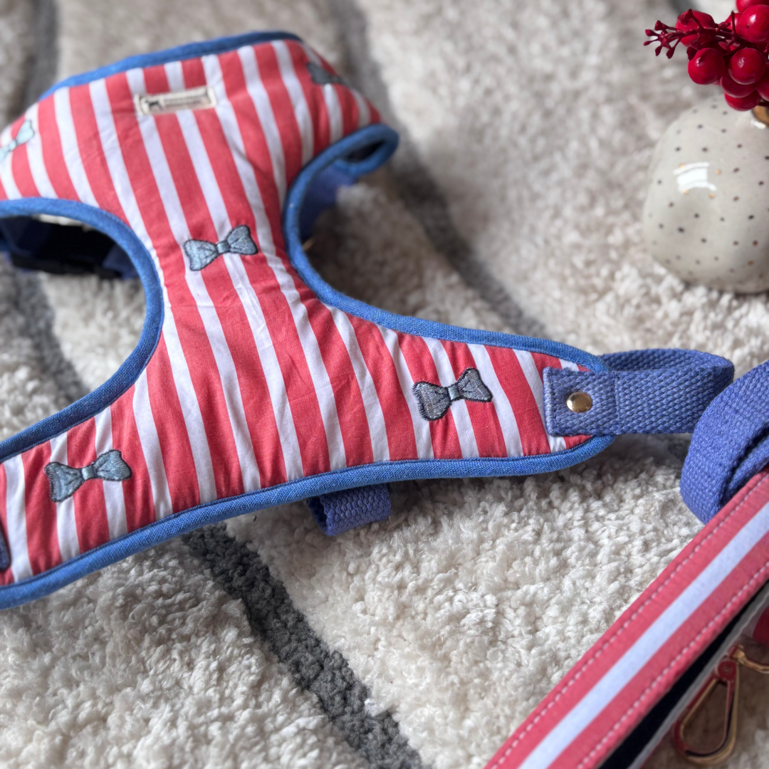 Dog Harness & leash sets online India | red dog harness online India