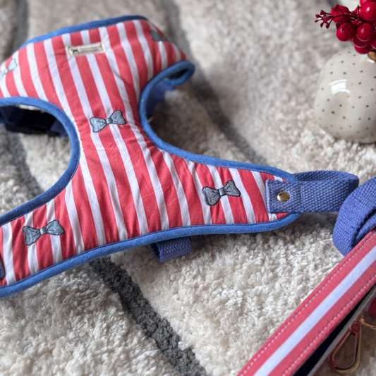 Dog Harness & leash sets online India | red dog harness online India