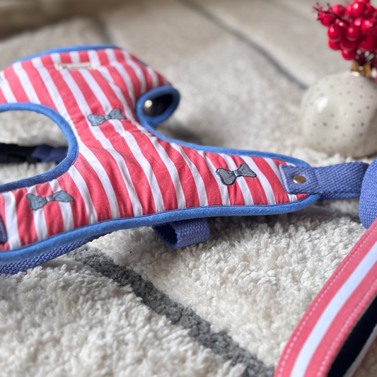 Cotton Dog Harness | Dog Harness & leash sets online India