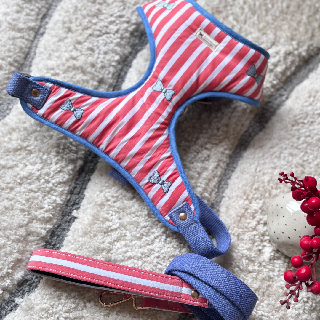 Large dog Harness set | Dog Harness washable harness s