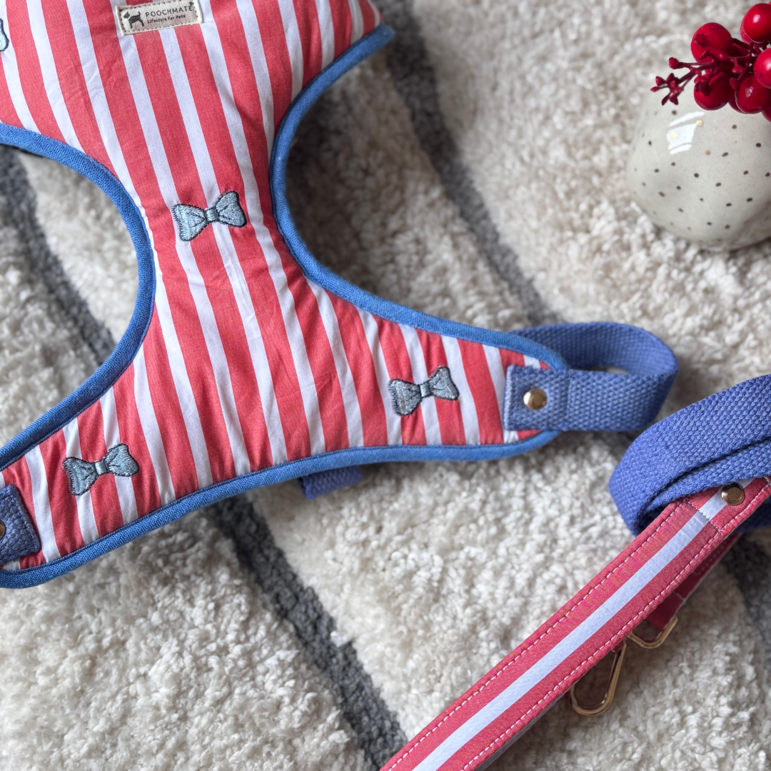 Large dog body belt online India