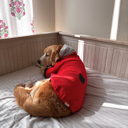 Red Dog Sweater | Red Dog Sweatshirt online India