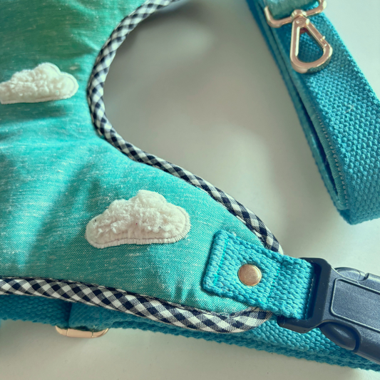 Dog Body Belt online India | Harness & leash Sets India