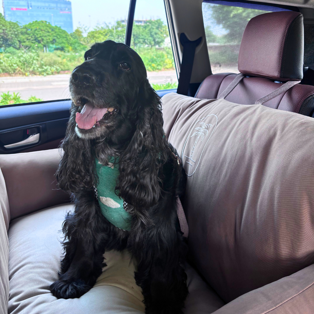 PoochMate Travel Beds | Dog Car Seats online India | Car seats for dogs | Dog Car bed | Dog Travel Beds