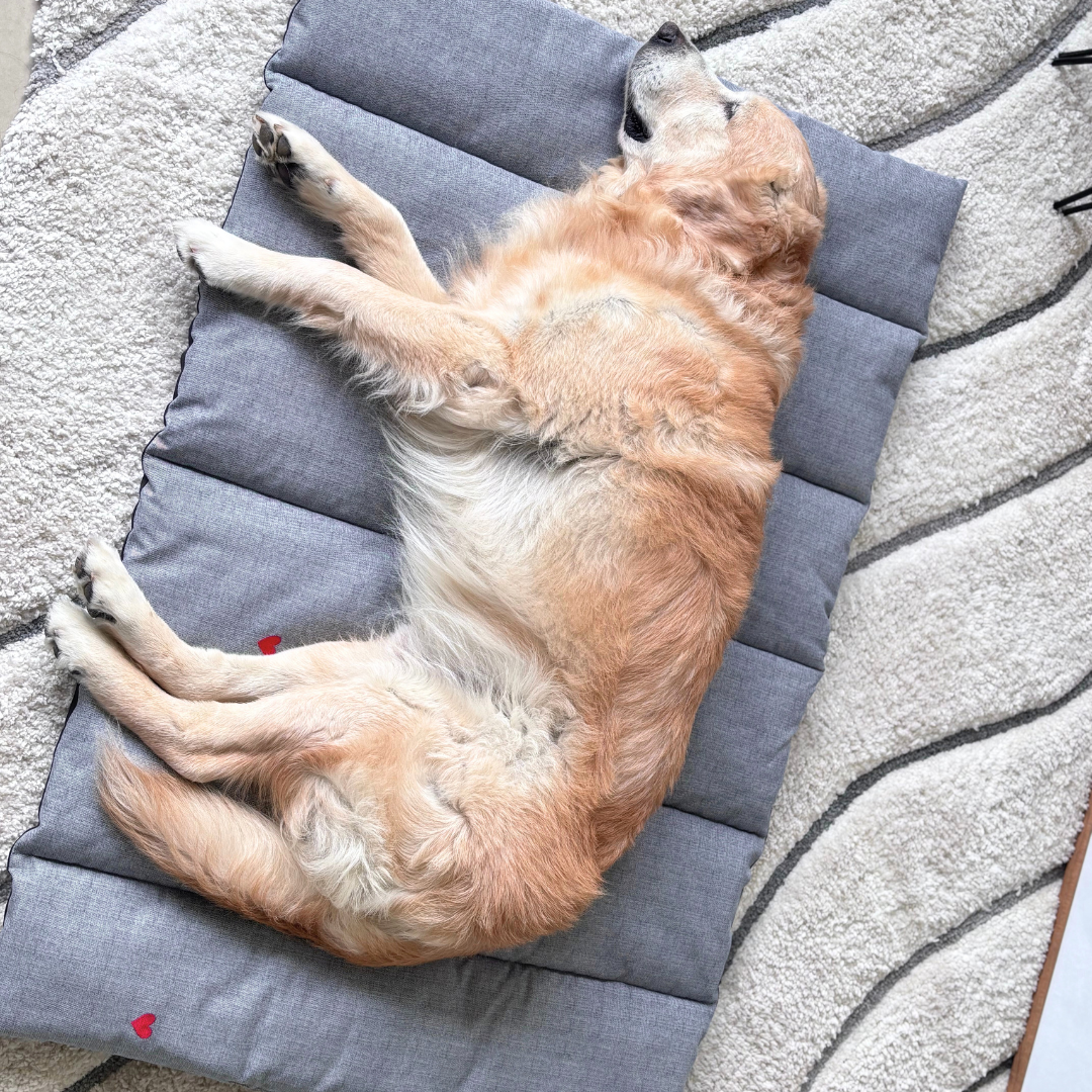 PoochMate Dog Mats | PoochMate Beds
