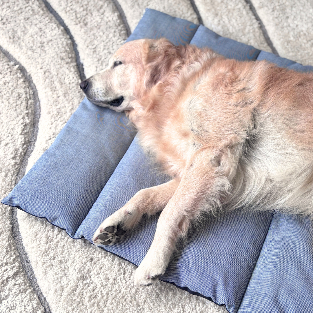 Quilted pet Mats | Quilted Dog Mats | Large Pet Mats online India