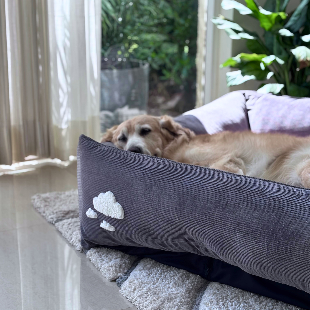 Dog beds with raised sides | PoochMate Beds | Washable cotton dog beds