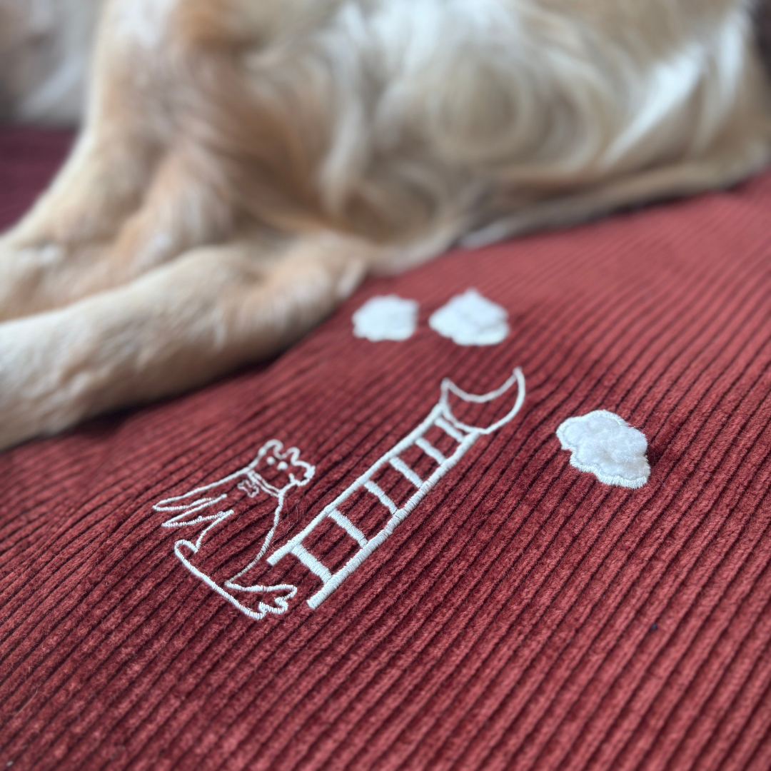 XL Dog beds | Dog beds with removable cover | Cotton washable dog beds India | PoochMate Beds