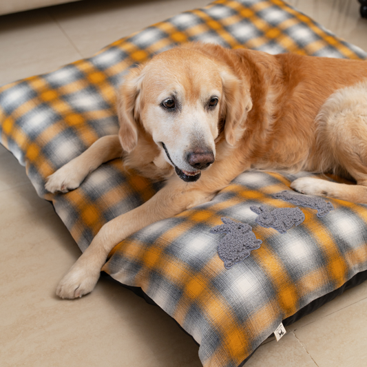 Flat Dog beds with washable covers | Cotton Dog Beds online India
