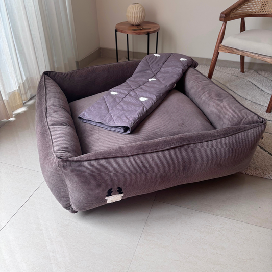 Dog Bedding sets online India | Dog Bed & Blanket Set| PoochMate Beds