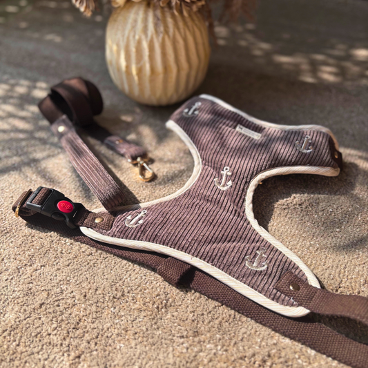 Dog Harness & Leash | Dog Walking Harness | Cotton dog harness India | Dog Body Belt online India