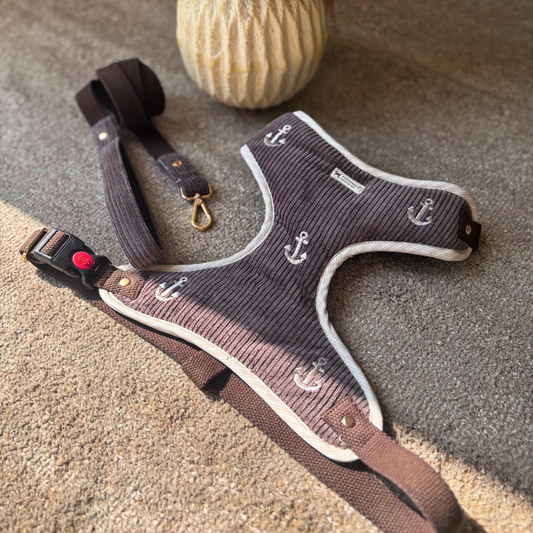 Dog Harness & Leash | Dog Walking Harness | Cotton dog harness India | Dog Body Belt online India