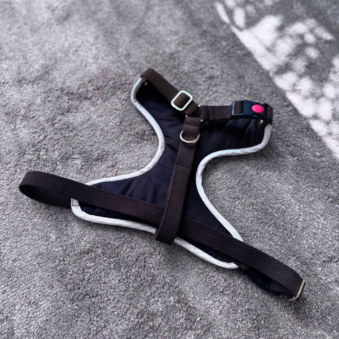 Dog Harness & Leash | Dog Body Vest Harness | Cotton dog harness India | Dog Body Belt online India