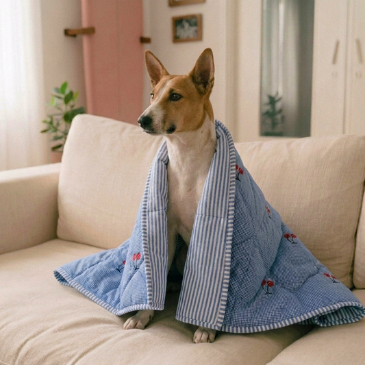 Soft cotton dog blanket | Pure cotton dog blanket| Best dog blanket online India | Luxury dog blankets online India| PoochMate Blanket