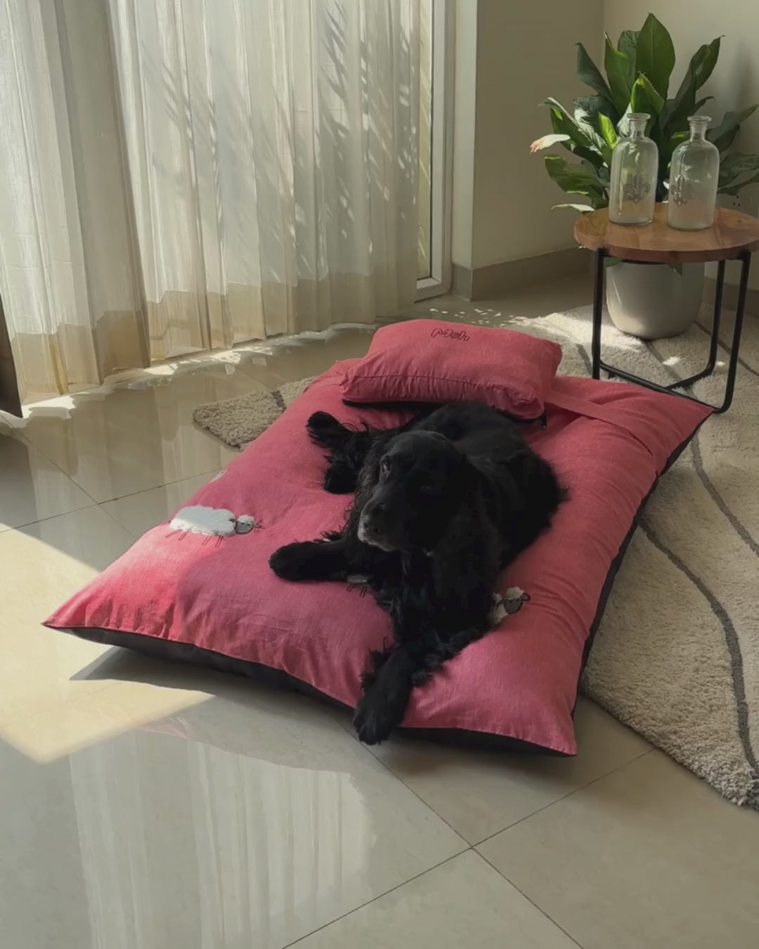 Flat Dog beds | Dog beds with washable covers | Cotton Dog Beds Online India