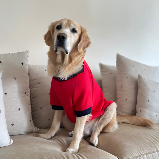 Dog Hoodies | Winter clothes for pets