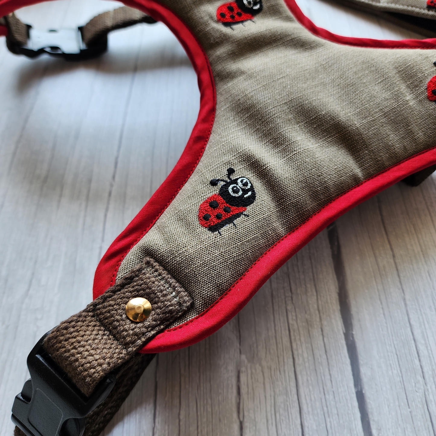 Dog Body Belt online India | Harness & leash Sets India