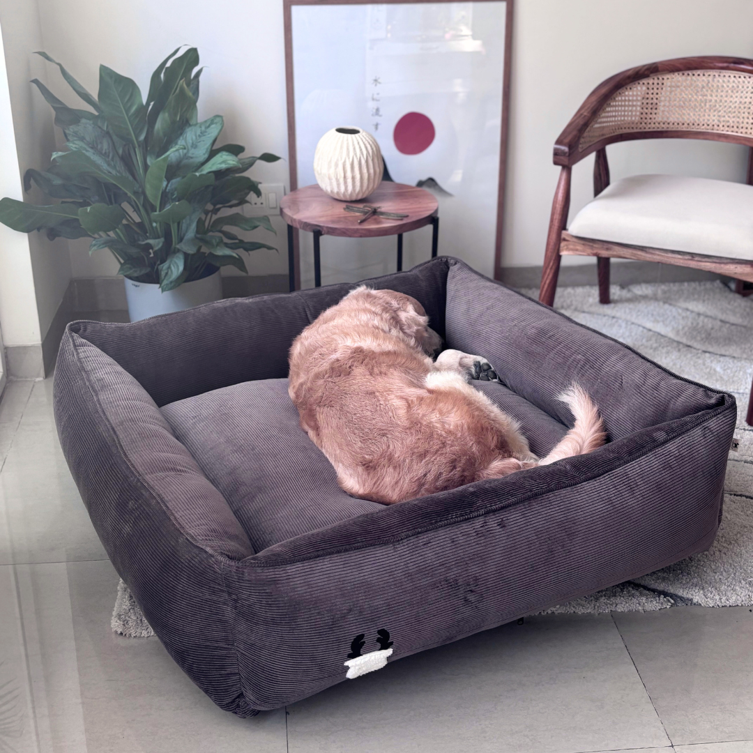 Large dog bed with removable covers | Large dog beds India | PoochMate Bed