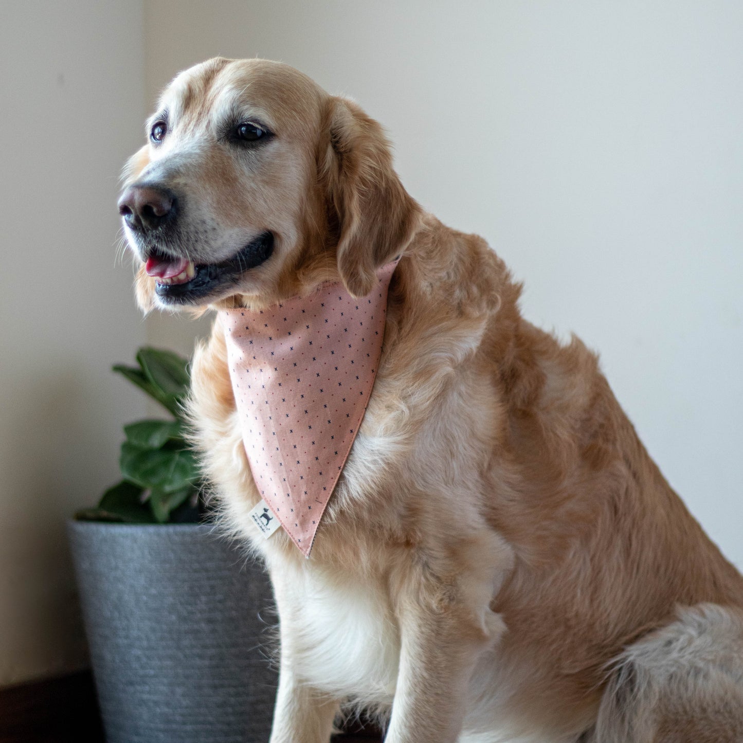 PoochMate Peachy Affair Bandana for Dogs