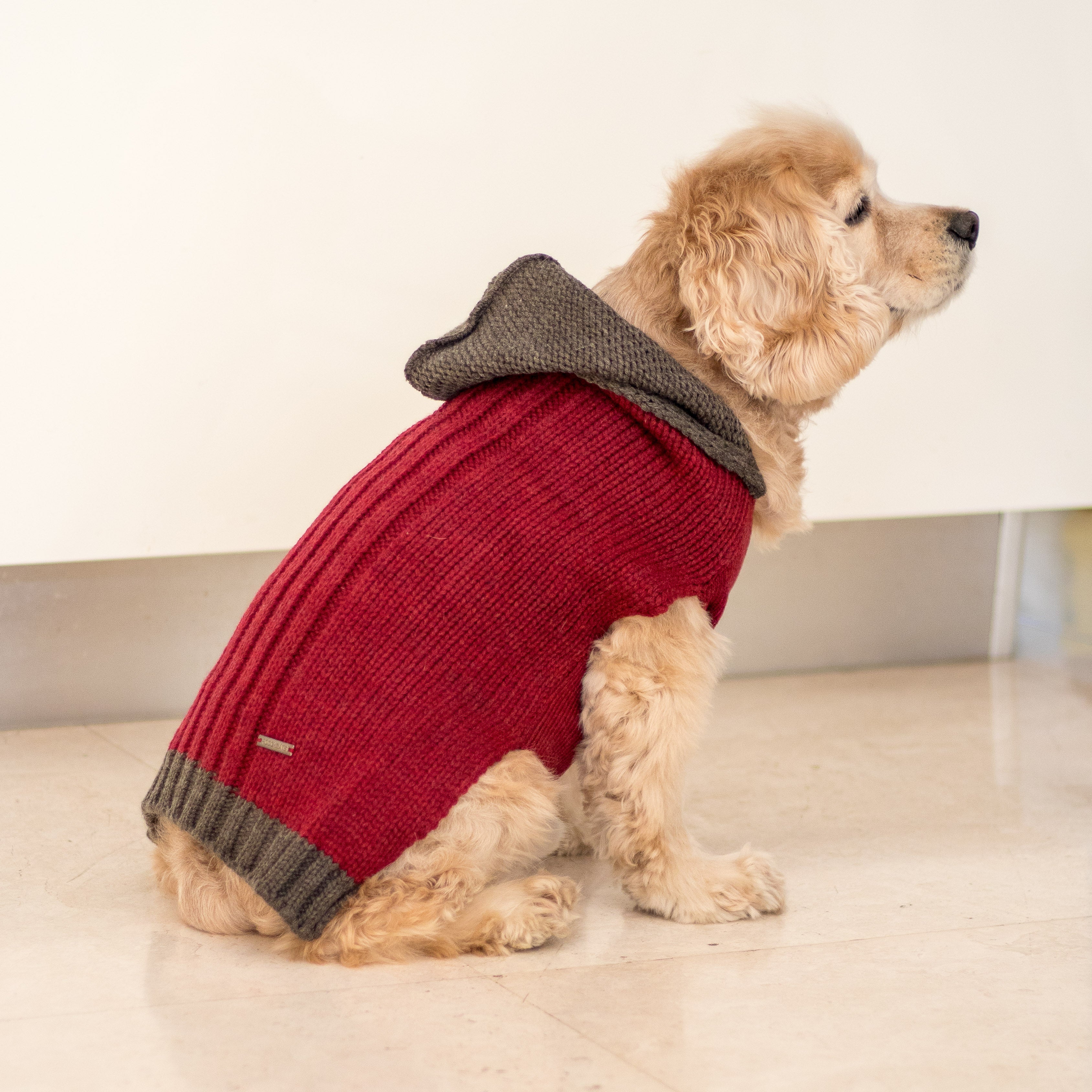 Dog Sweaters online India handmade dog sweaters |PoochMate Milano Hooded Sweater Maroon