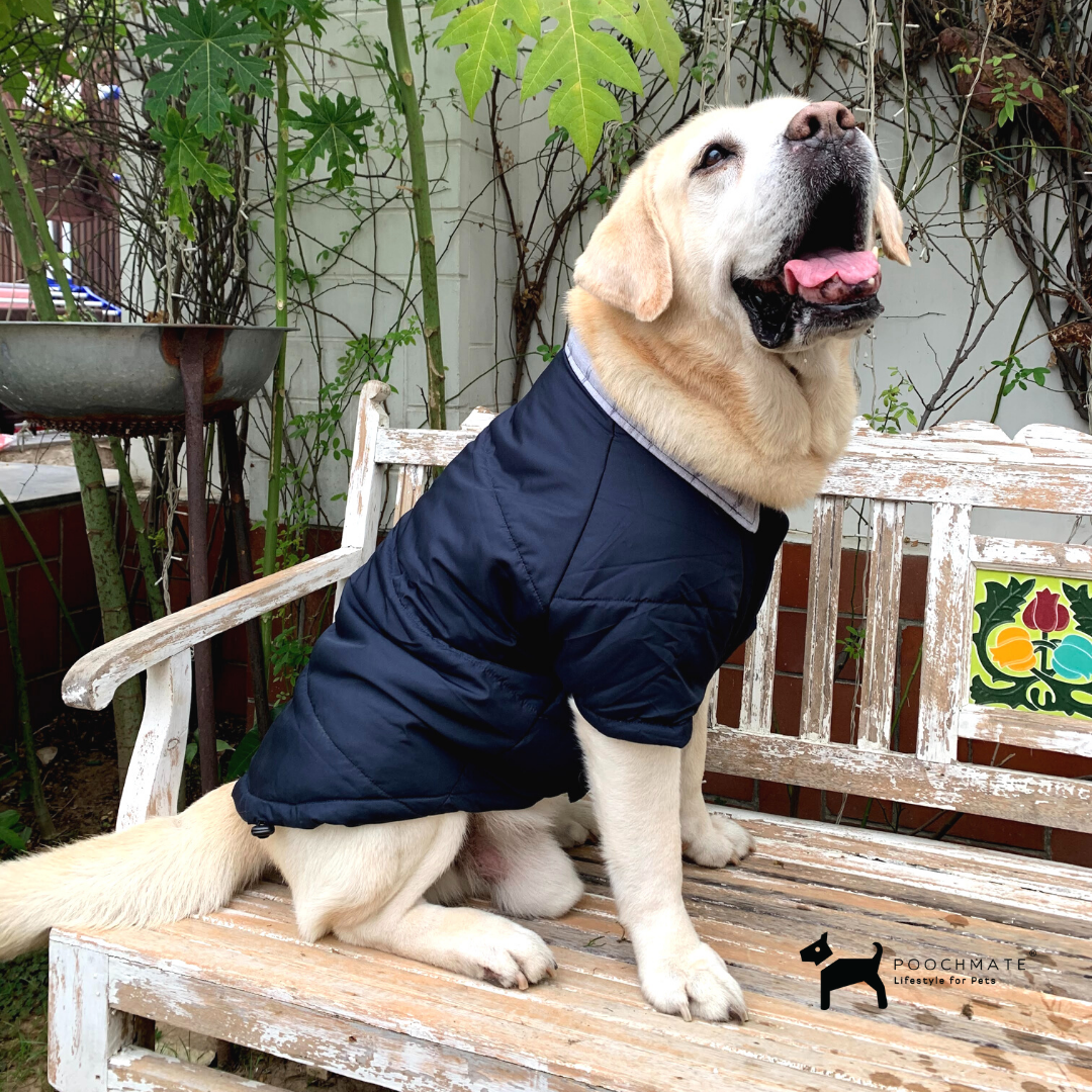 Quilted Dog Coats Online PoochMate Bexley Quilted Coat PoochMate