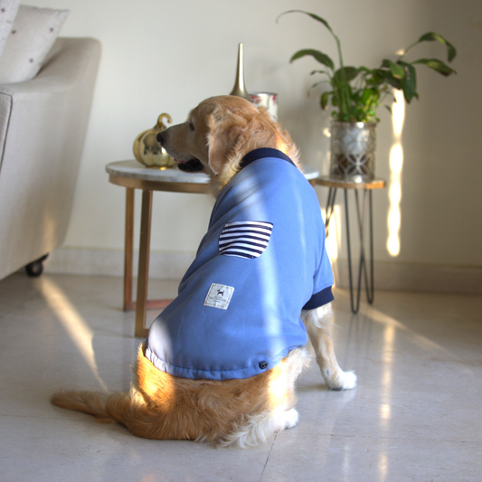 Pet clothes online India| Winter pet clothes India