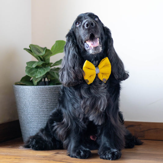 Cottyon Dog Bow Tie | Dog Bow Ties Online India
