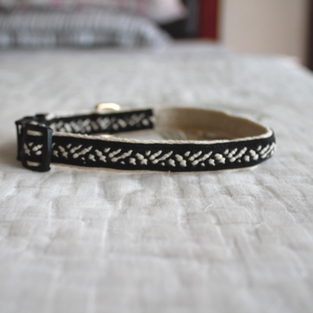Light weight cat collar | Cat Collars online India