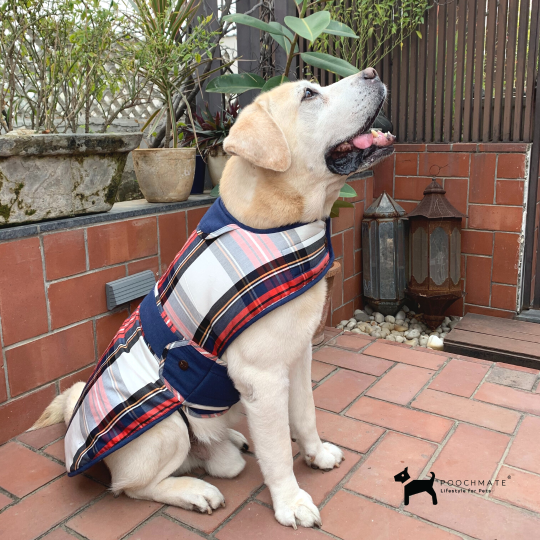 Winter dog clothes online India | Dog Coats Online
