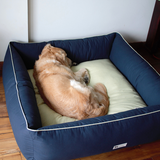 Dog Beds India | Buy Dog Beds online India