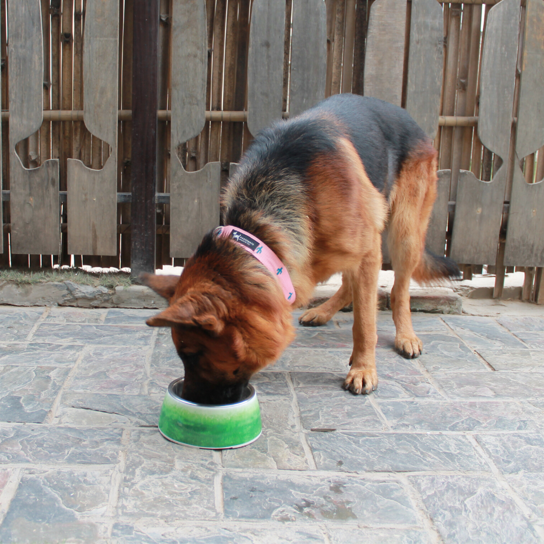 PoochMate Cloudy Melamine Dog Bowl - Green
