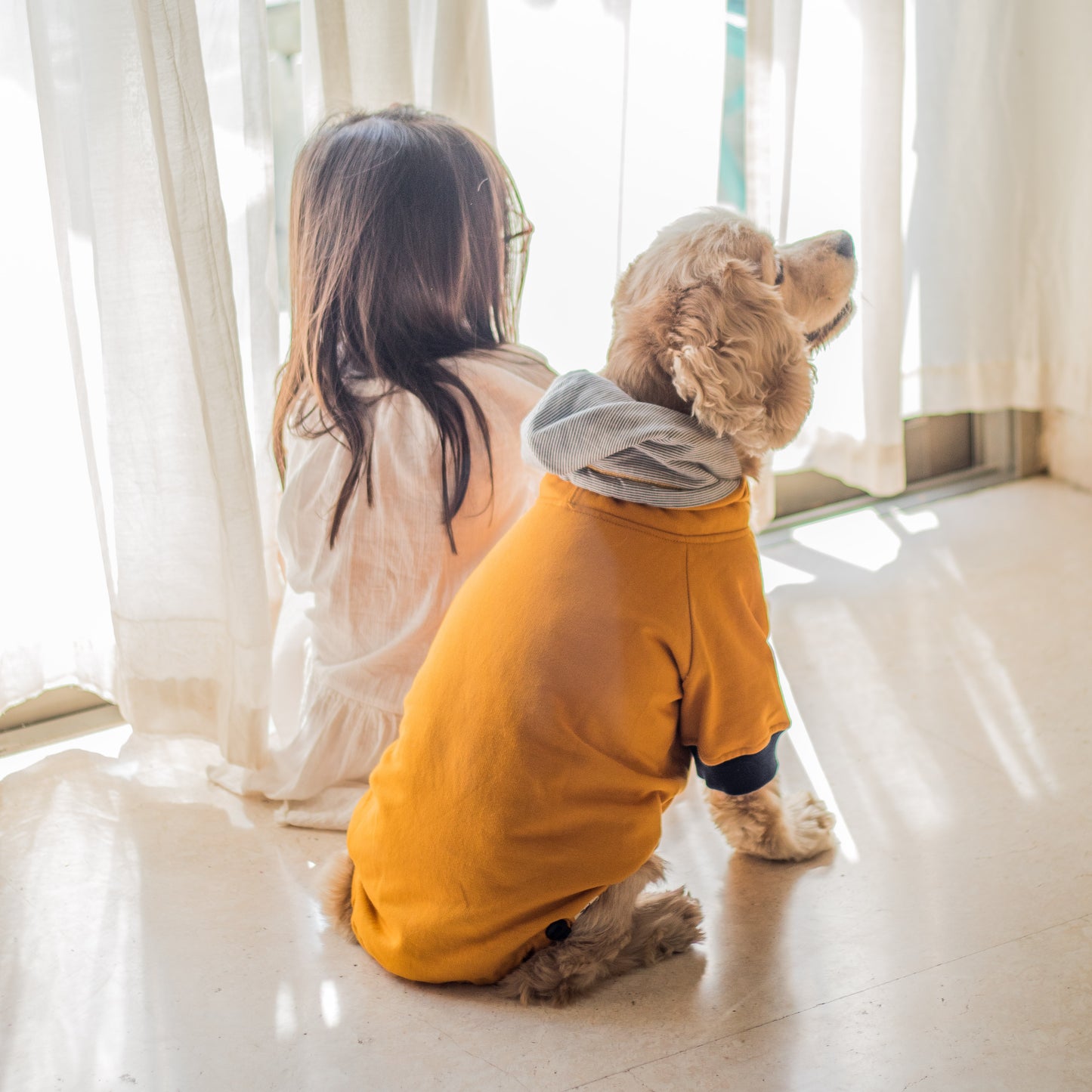 Yellow dog jacket online India | Dog sweatshirts