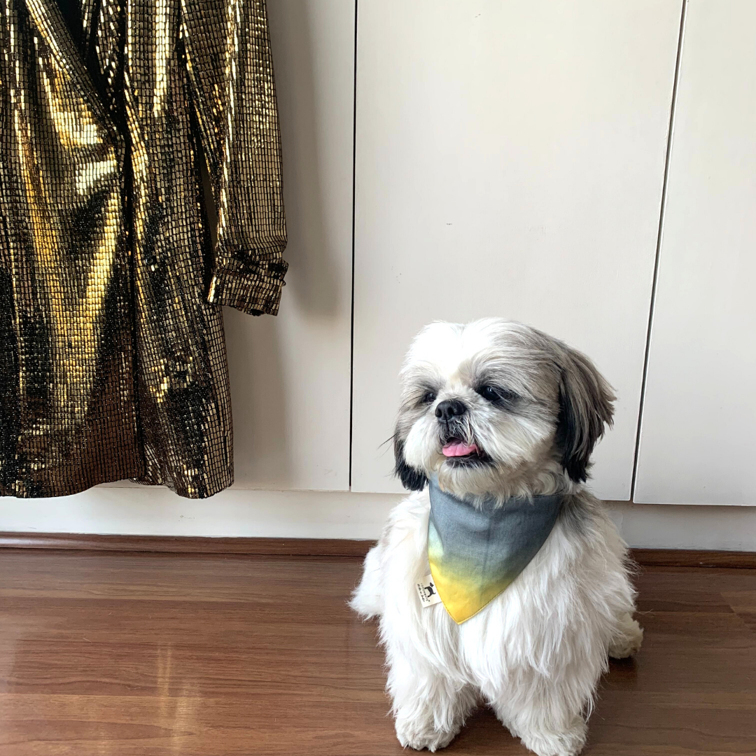 Dog Bandana Online | Pet Accessories online India
