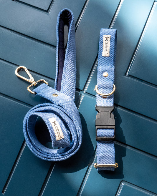 Blue dog collars | Best dog collars online India