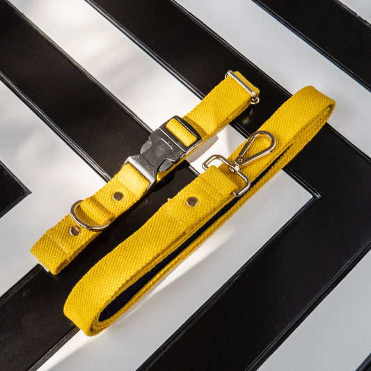 Dog collar & leash | Yellow dog collar