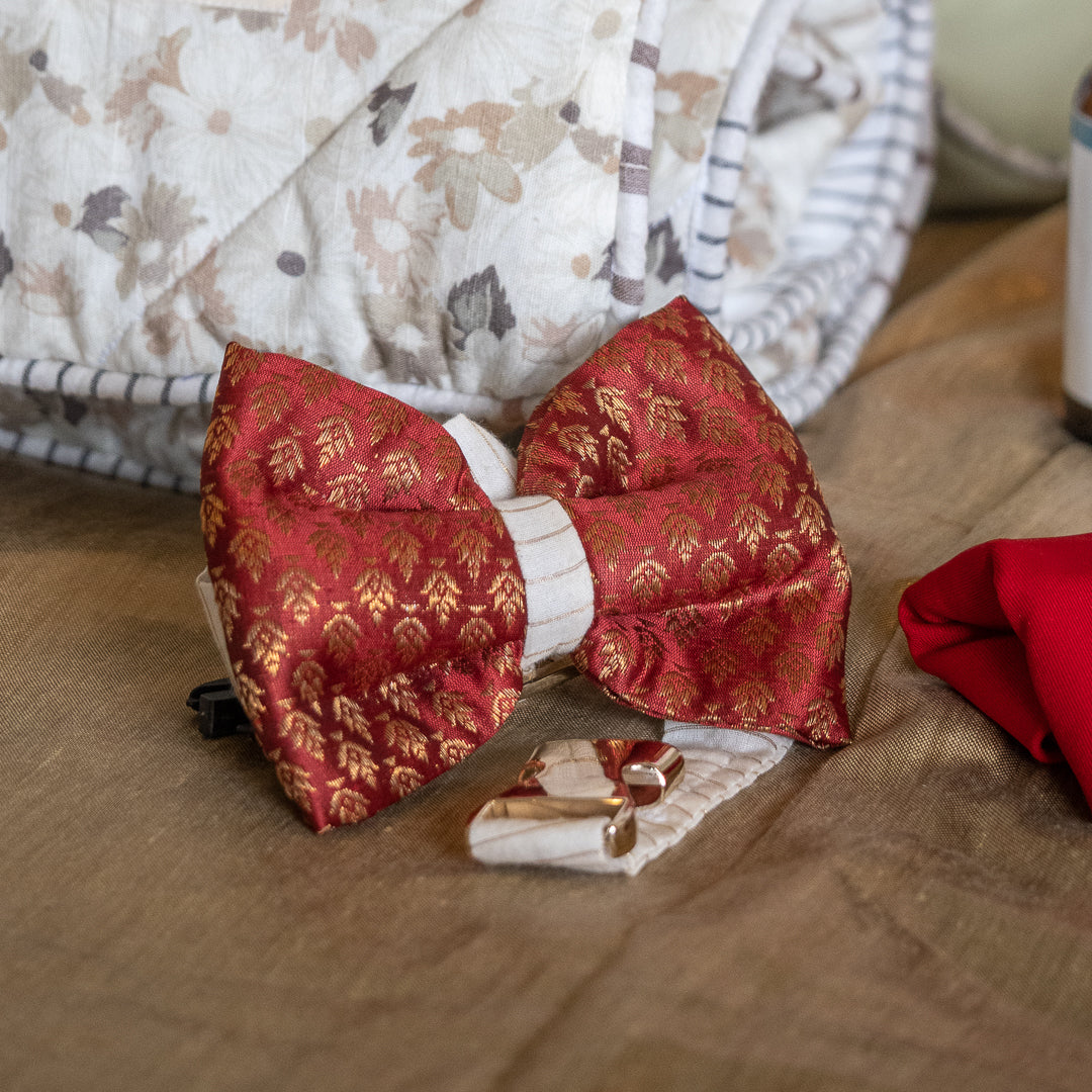 Diwali gift hampers for dogs | Diwali gift ideas for dogs