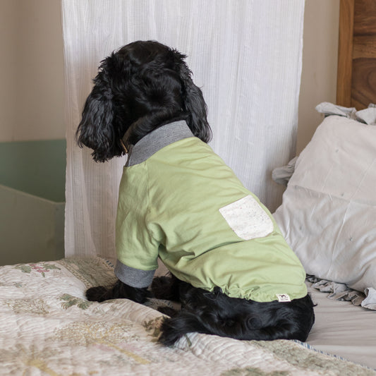 Dog T Shirt | Dog Shirts India | Cotton clothes for dogs