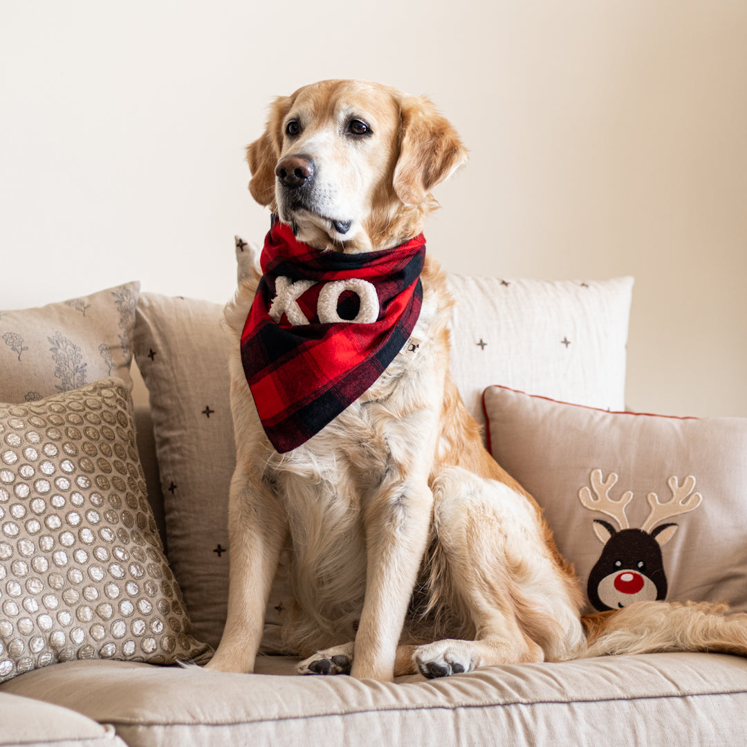 Dog Bandana for large dogs | Dog birthday gifts