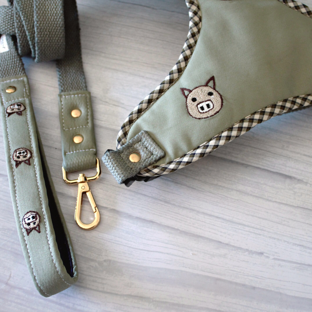 Best dog harness in India | Shop dog harness sets online India