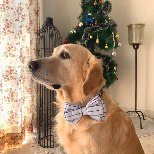 PoochMate Sailors Blue Dog Bow Tie