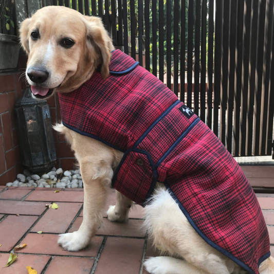 Wool Plaid Coats for dogs |Luxury Pet Clothing online India | PoochMate