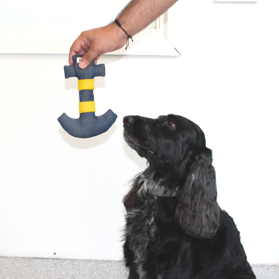 Dog sales toys online