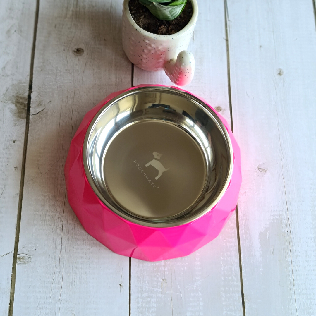 Dog Bowls & Feeders Online India | Steel dog bowls