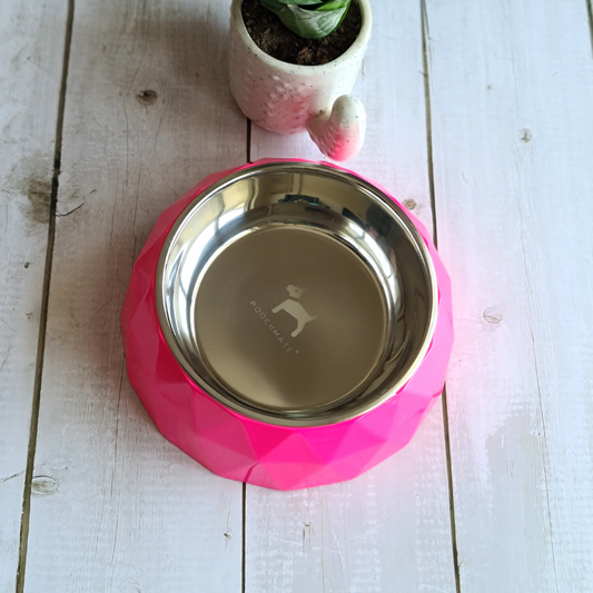 Dog Bowls & Feeders Online India | Steel dog bowls