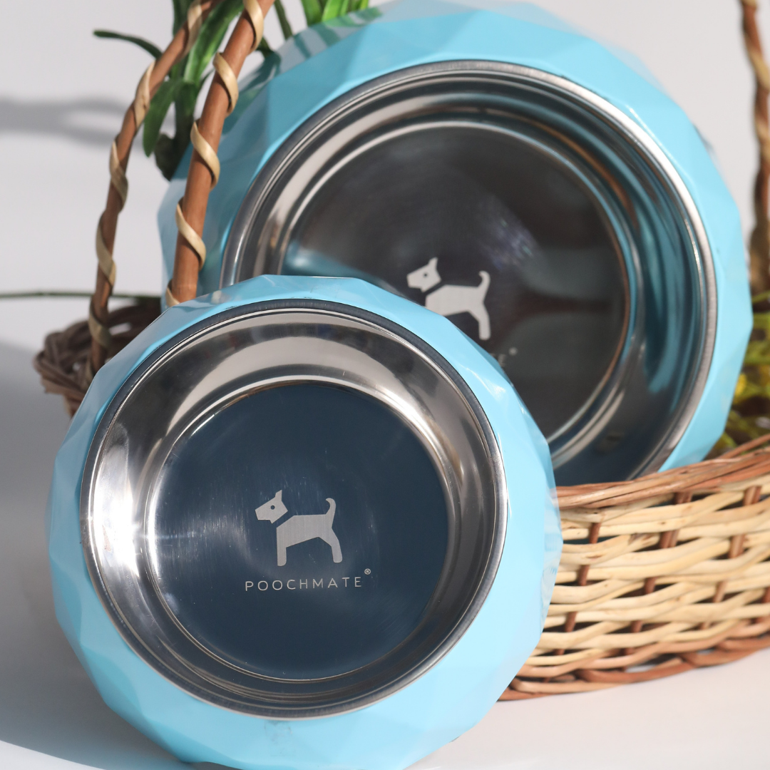 Designer dog bowls Online | Luxury dog bowls India
