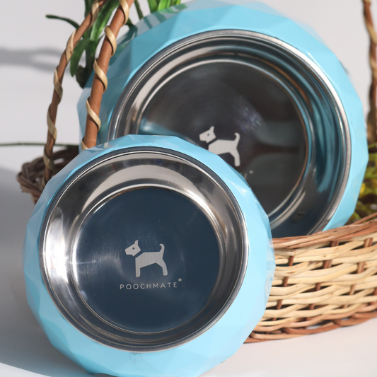 Designer dog bowls Online | Luxury dog bowls India