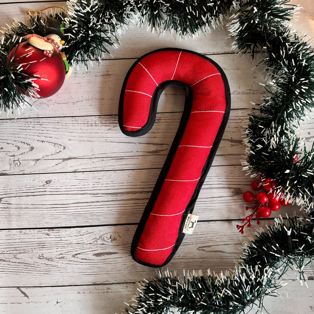 Candy Cane Dog Toy | Christmas Toys for pets online India